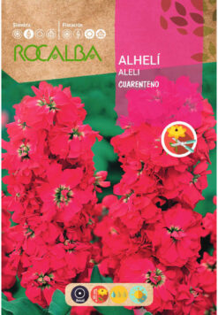 Semillas de Alheli Cuarenteno Anual (0.5 gr)