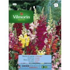 Semillas de Antirrino Variada (0.6 gr)