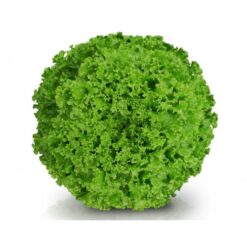 Semillas de Lechuga Jade (7.500 sem)