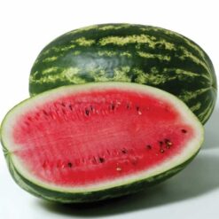 Semillas de Sandia hIB. Catira F1 (1.000 sem)