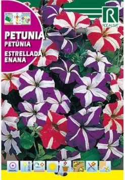 Semillas de Petunia Estrellada Enana Variada (0.5 gr) Rocalba