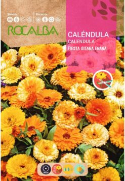 Semillas de Calendula Fiesta Gitana Enana Rocalba (3 gr)