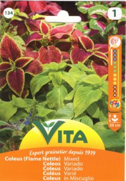 Semillas de Coleus Variado (0.2 gr)