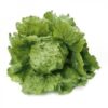 Semillas de Lechuga Patagonia RZ ( 5.000 sem)