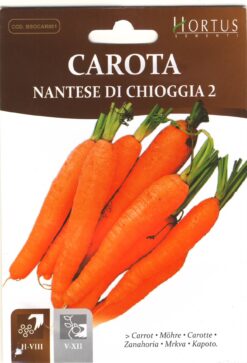 Semillas de Zanahoria Nantesa (5 gr)