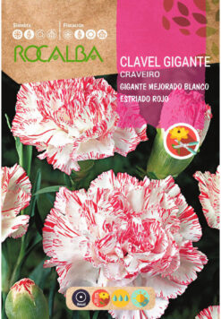 Semillas de Clavel Chabaud Estriado Mejorado (1gr)