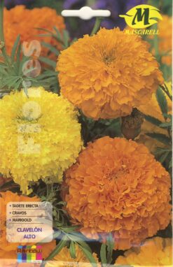 Semillas de Clavelon Alto ( 2 gr)