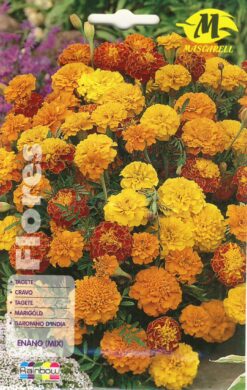 Semillas Tagete Clavelon Enano Mix (2 gr)