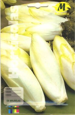 Semillas de Endivia de Bruselas (8 gr)