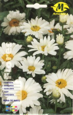 Semillas de Margarita Reina Mayo (1 gr)