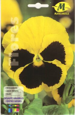 Semillas de Pensamiento Amarillo (0.25 gr)