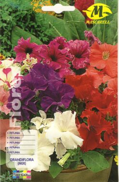Semillas de Petunia Grandiflora Mix (0.2 gr)