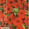 Semillas de Petunia Grande flora Roja (0.2 gr) Mascarel
