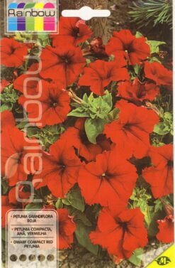 Semillas de Petunia Grande flora Roja (0.2 gr) Mascarel