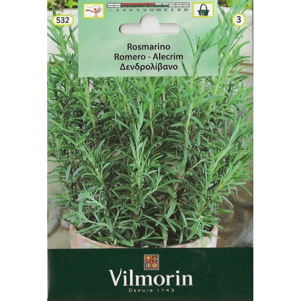 Semillería San Alfonso