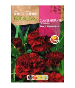 Semillas de Clavel Gigante Rojo Mejorado ( 1 gr)