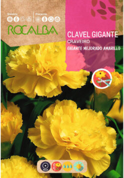 Semillas de Clavel Gigante Amarillo Mejorado (1 gr)