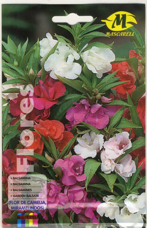 Semillería San Alfonso