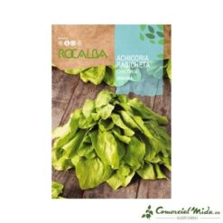 Semillas de Achicoria Radicheta  Spadona (10 gr)