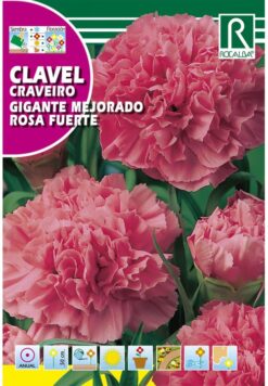 Semillas de Clavel Gigante Rosa Fuerte ( 1 g)
