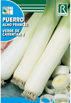 Semillas de Puerro Verde de Carentan (4 gr)