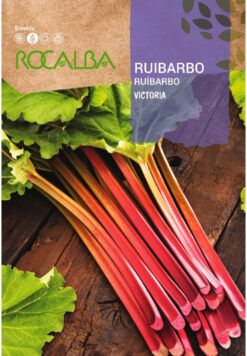 Semillas de Ruibarbo (1 g)