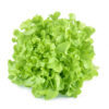 Semillas de Lechuga Green Salad Bowl 100g