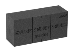 Oasis Espuma Floral (un)