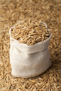 Semillas de Avena Nehuen (Forraje) - 2 Kilos