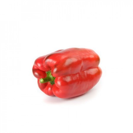 Semillería San Alfonso