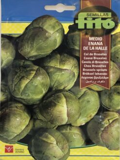 Semillas Repollito de Bruselas (8g) Fito