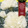 Semillas de Clavel Gigante Blanco Fito (800Mg)