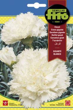 Semillas de Clavel Gigante Blanco Fito (800Mg)