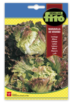 Semillas de Lechuga Maravilla de Verano.
