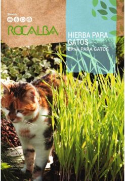 Sobre de semillas de Hierba para gatos (10g)