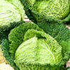 Semilla Repollo Crespo Savoy Winter 2.500 semillas
