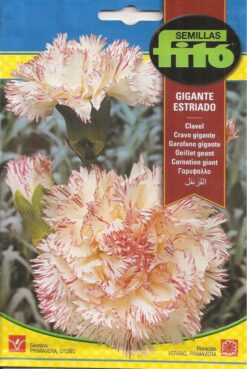 Semillas de Clavel Gigante Estriado Fito  800mg