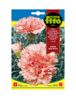 Semillas Clavel Gigante Rosa Palido 800mg Fito