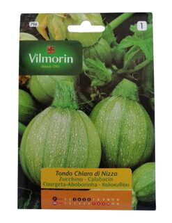 Zapallito Italiano Redondo Clarito (5g Vilmorin )