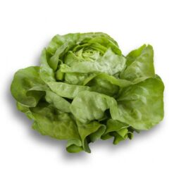 Semillas de Lechuga Basilio RZ (5000sem)