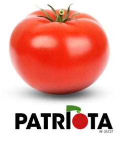 Tomate Hib PATRIOTA (1000 SEMILLAS)
