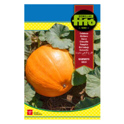 zapallo Mammoth Gold (6g) Fito