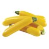 Semilla Zapallito Italiano Hib. Amarillo (100 grs)