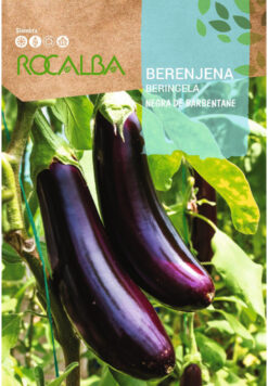 Semilla Berenjena Negra Barbentane (3g) Rocalba