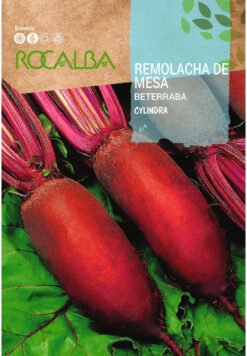 Semilla Betarraga Cilindrica Rocalba (10 g)