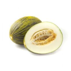 Semilla Melon Piel de Sapo F1 Mabel RZ (1000 seed)