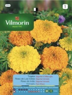 Semilla Tagete Gigante Variada (1g) vilmorin
