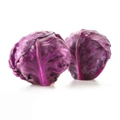 Semilla Repollo Morado REDMA F1 RZ (2.500 SEMILLAS)
