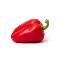 Semilla Pimiento Morron (Tipo Trompo)
