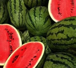 Semilla Sandia Antonia 500 grs Music